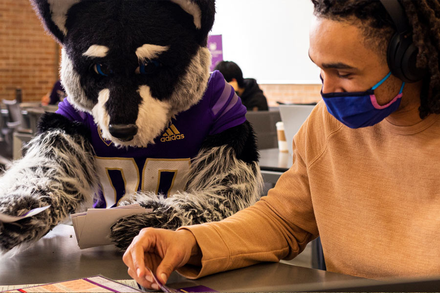 A student sitting at a table playing cards with Harry the Husky mascot.